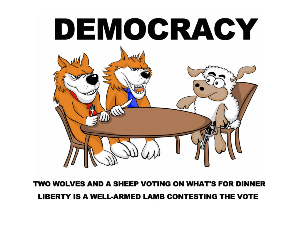 Democracy-Two-wolves-and-a-sheep-voting-on-whats-for-dinner-1024x768.jpg